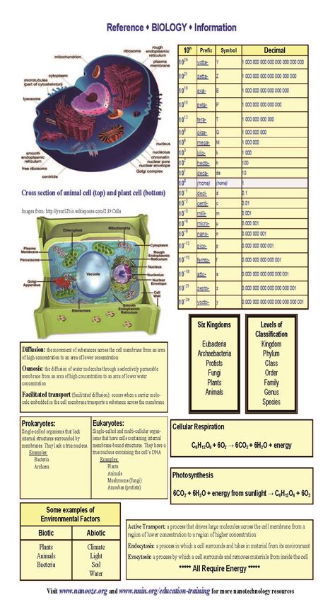 Reference data from another sheet. Biology Reference Sheets | National Nanotechnology ...
