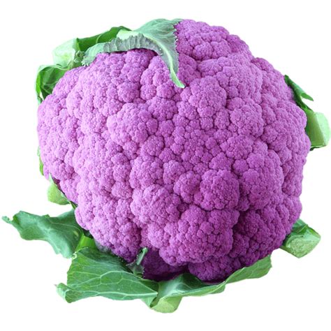Purple Cauliflower Cauliflower Superlo Foods