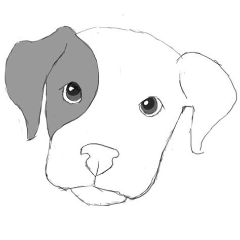 Learn How To Draw A Dog In Photoshop Dog Face Drawing Dog Drawing