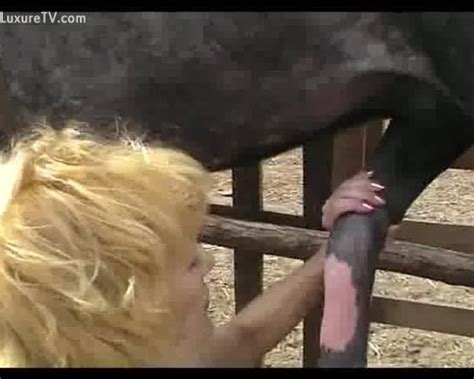 Blonde Doxy Milks Her Horses Shlong Until It Squirts Xxx