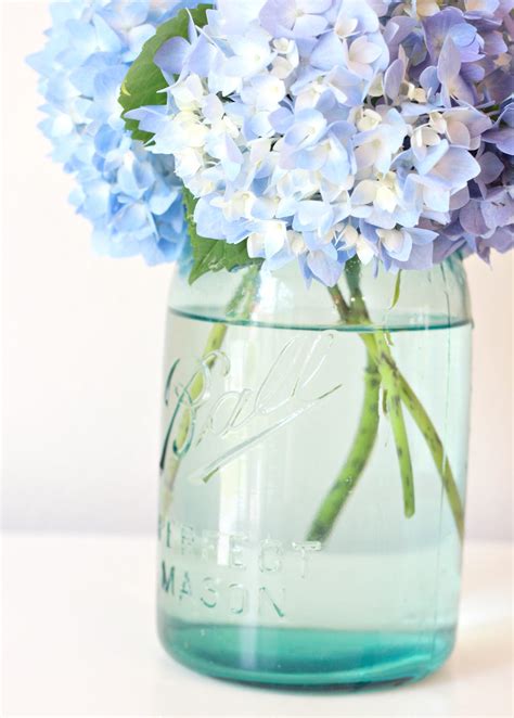 Maybe you would like to learn more about one of these? Tip to Keeping Cut Hydrangeas Looking Fresh.... - Love of ...