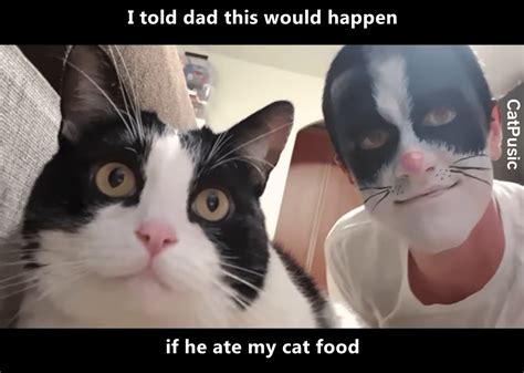 Told Dad This Would Happen Crazy Cat Man Cat Memes Crazy Cats