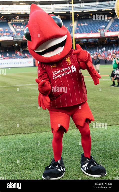 Mighty Red Mascot Of Liverpool Fc Hi Res Stock Photography And Images