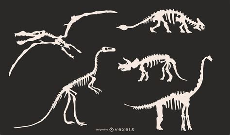 Dinosaur Skeleton Silhouettes Set Vector Download