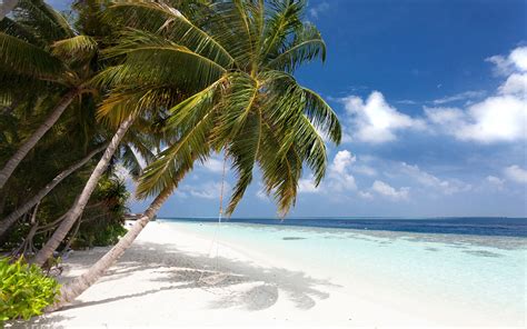 Vilamendhoo Island Resort And Spa Hotel Review Maldives Telegraph Travel