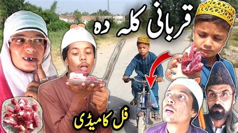 Qurbani Kala Da Pashto New Funny Video By Tuti Gull Vines Youtube