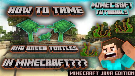 How To Tame And Breed Turtles In Minecraft Youtube