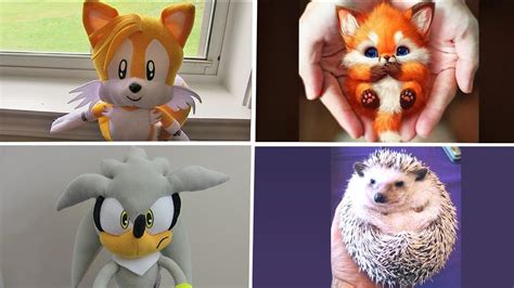 Sonic The Hedgehog In Real Life Tails Amy Rose Silver X