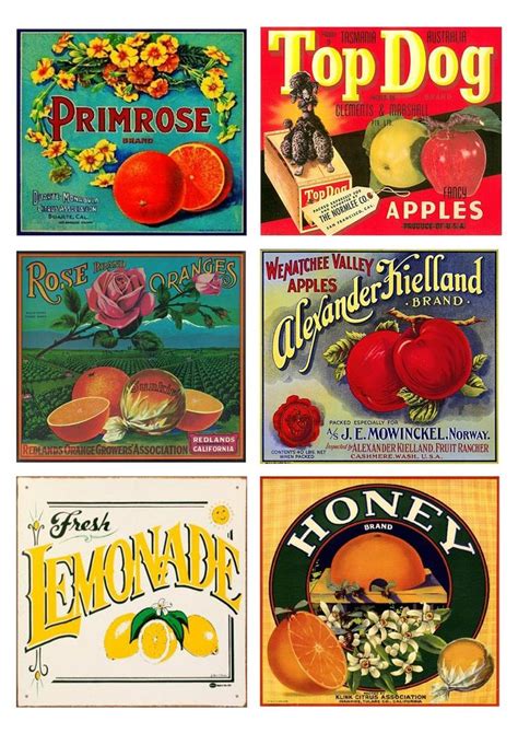 Vintage Foodmedicine Labels 112 Scale Labels Mini Etsy Vintage