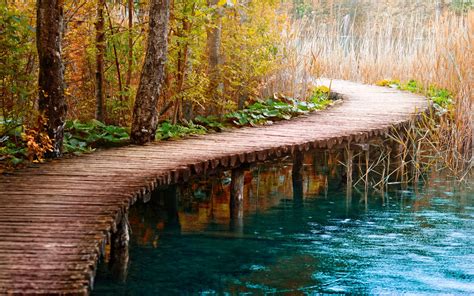 Wooden Bridge Over Lake Wooden Path Wooden Bridge Scenic Wallpaper