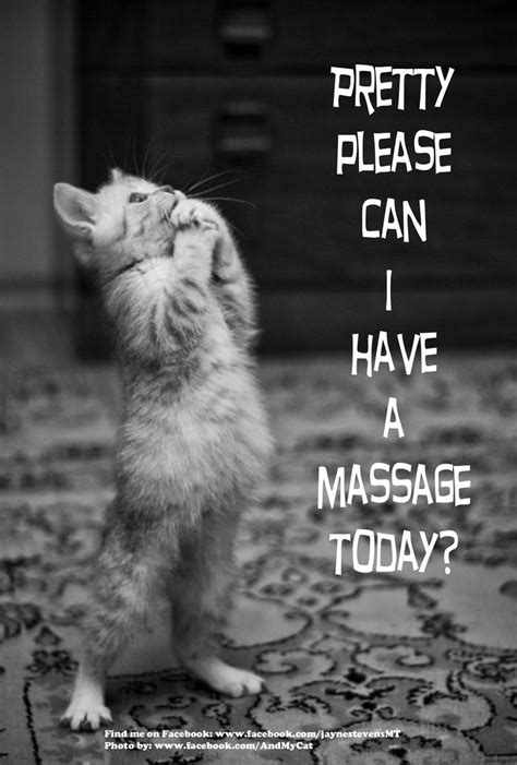 Massage Animaux Humour Memefree