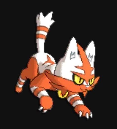Litten Shiny Evolution Line Shiny Forms Pokémon Amino