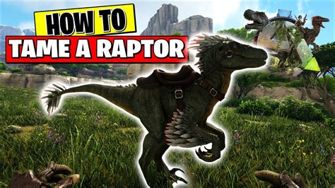 Ark Survival How To Tame A Raptor Youtube