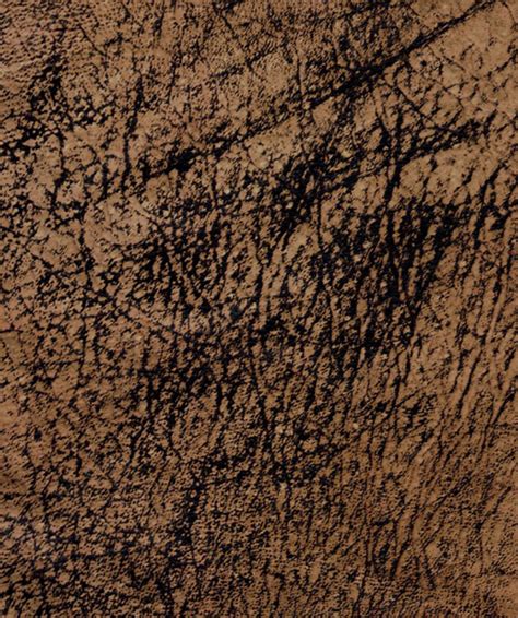 Leather Skin Background Mottled Free Stock Photo Public Domain Pictures
