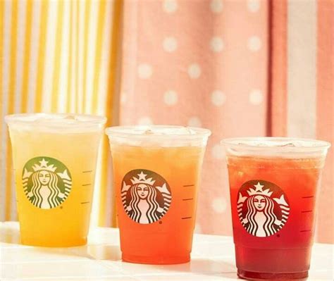 Everything about starbucks iced tea drinks in one convenient guide. @Areeisboujee | Iced starbucks drinks, Starbucks drinks ...