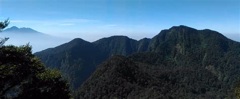 Gambar Foto Gambar Peta Taman Nasional Gunung Halimun Salak Eta Jalur