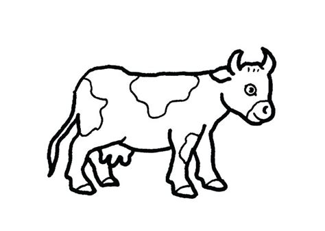 Cow Simple Drawing At Getdrawings Free Download