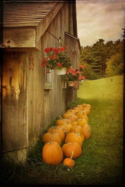 Barn Flowers Pumpkins Fall Pictures Old Barns Beautiful Fall