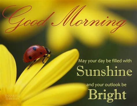 Good Morning May Your Day Be Filled With Sunshine And Your Outlook Be