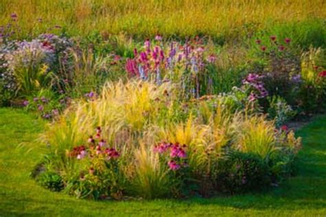 Grass Garden Design Types Of Ornamental Grasses Diy Shrubs Such As