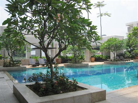 Interiors And Landscape Design Modern Tropical Garden For