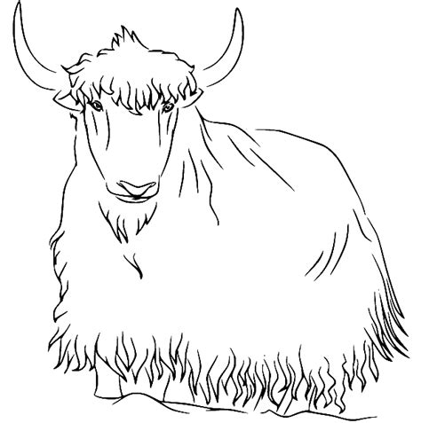 Yak Coloring Pages Printable For Free Download