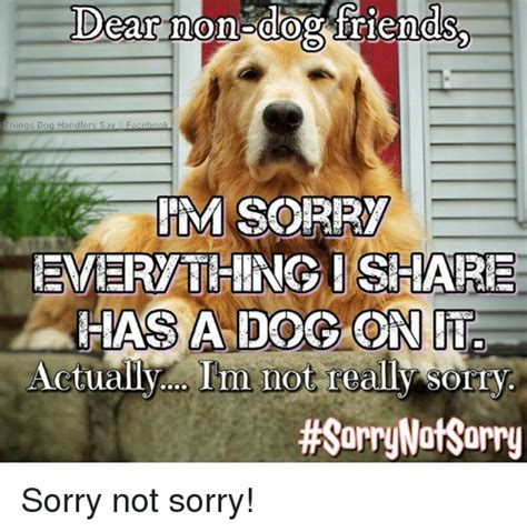 Im Sorry Meme Dog