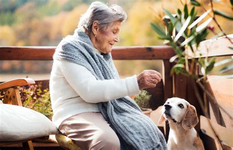 Helping Elderly With Pets