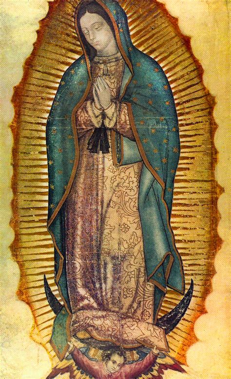 Our lady of guadalupe image explained. The Story of Our Lady of Guadalupe