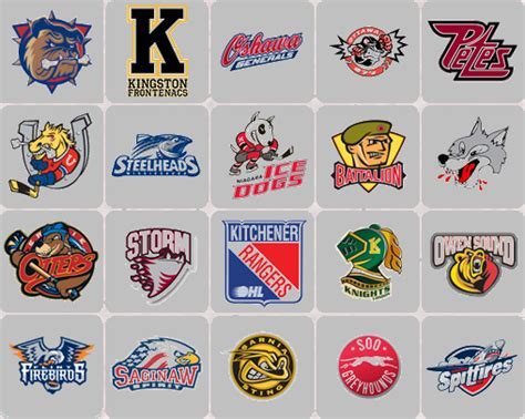 Ohl is a reference in the execution of railway infrastructure projects throughout north america. Ohl team Logos
