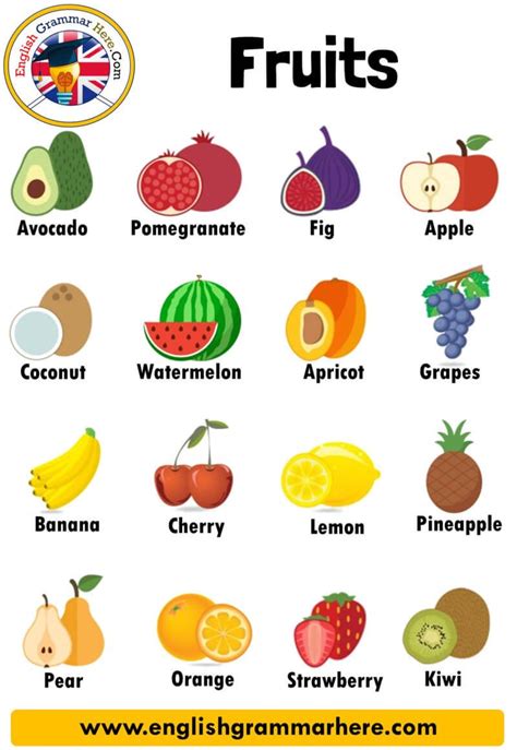 Definition Of Fruit For Science