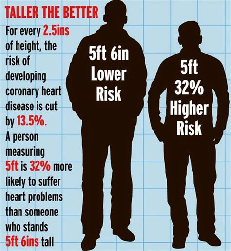 Punnetts Square Shorter Stature May Pose Higher Risk Of Heart Disease