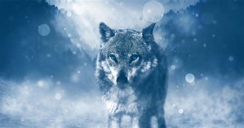 It will appear as an orange orb and swap to pale yellow as it rises, before becoming too bright and white to look at comfortably. The Wolf Moon Eclipse in Cancer - 10th January 2020 ...