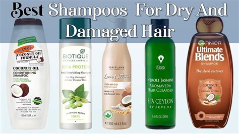 Best Shampoo For Dry Damaged Color Treated Hair 10 Best Shampoos For