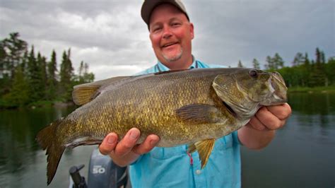 Best Topwater Bass Fishing Ontario The New Fly Fisher