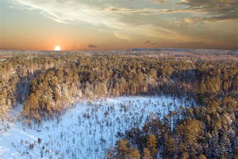 Toute La Taiga En Sibérie Les Plus étonnantes Forêts Du Monde
