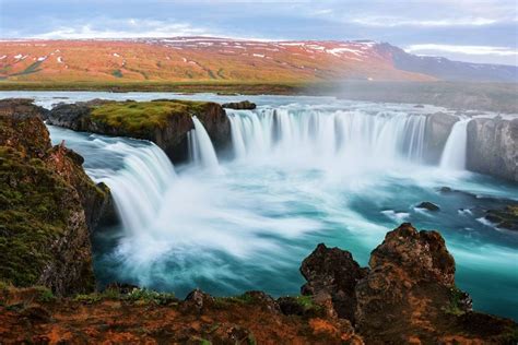 Wildlife Holidays In Iceland For 202425 Naturetrek