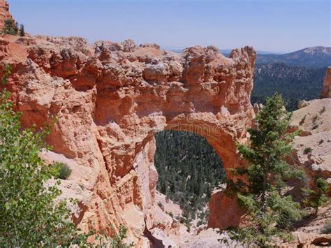 491 Natural Bridge Arch Bryce Canyon National Park Utah Stock Photos