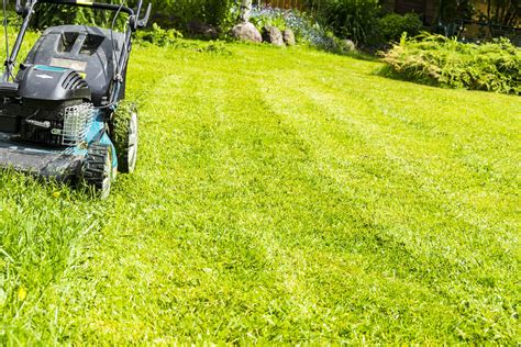 5 Lawn Care Myths The Turfgrass Group Inc