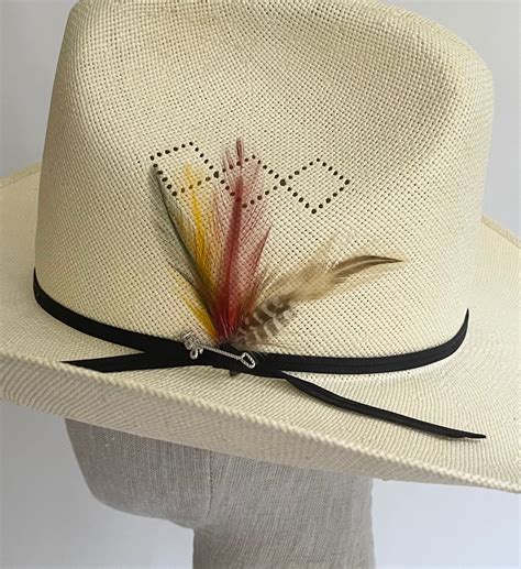 Stetson Shantung Cowboy Hat Feather Detail Jbs Branding Iron Hat Pin