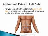 One of the two organs in your lower back that. PPT - how to Treat Abdominal Pain in Left Side PowerPoint ...