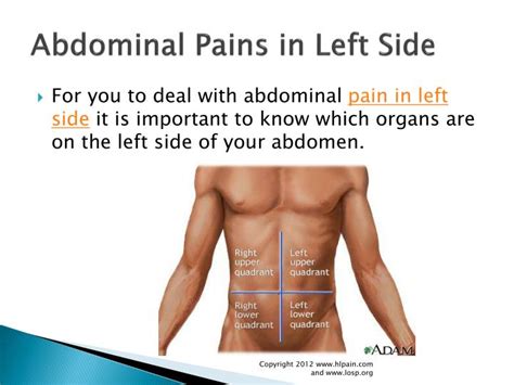 Pain On My Upper Right Side Of Abdomen Images
