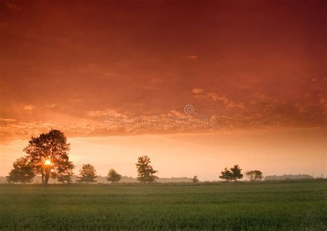 Beautiful And Calm Sunrise Stock Photo Image Of Dawn Pink 11874554