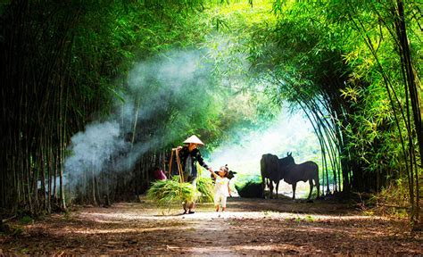 22 ảnh Phong Cảnh Việt Nam Hình ảnh Làng Quê Rất đẹp DỊch VỤ ChỤp Ảnh