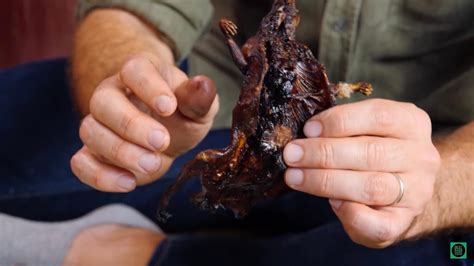 Western Guests First Tried Rat Meat Appalled By The Habit Of Dripping