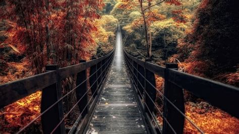 Wallpaper Id 576235 Autumn Landscape Suspension Bridge Autumn