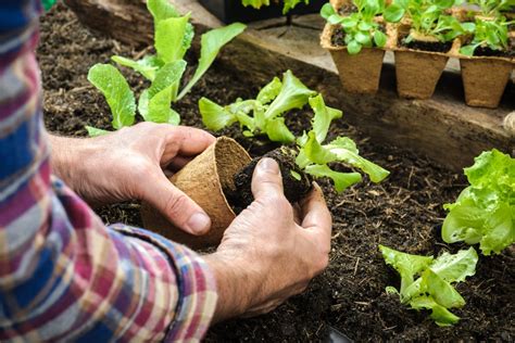 .system in malaysia 5 soil erosion and surface runoff in a tropical forest 6 effects o f logging on surface runoff and soil loss 11 effects o f river i n malaysia, and ecological the in sedimentation effects of problems. 5 Ways to Stop Soil Erosion from Happening to Your ...