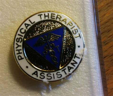 Prestige Medical Emblem Lapel Pin Medicine Physical Therapist Assistant Pta Pt Ebay
