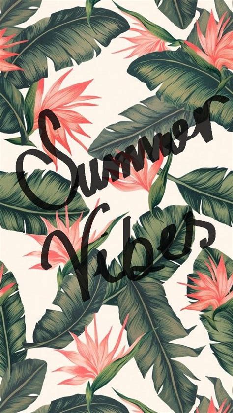 200 Cute Summer Wallpapers