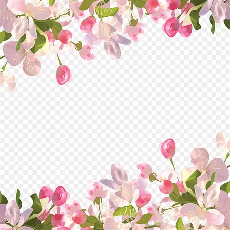 Background Png Flower Myweb